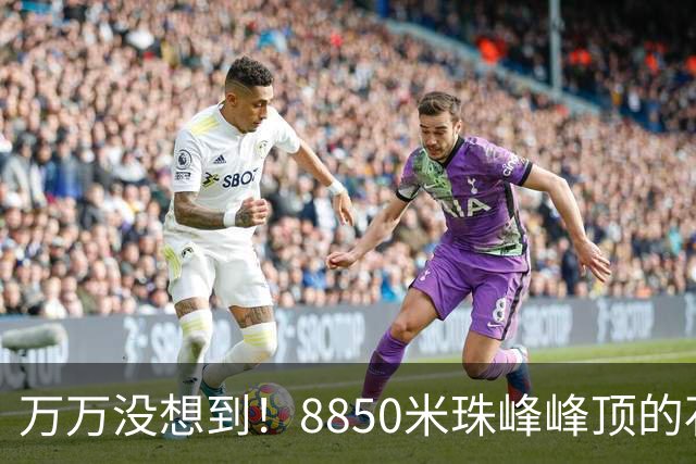 万万没想到！8850米珠峰峰顶的石头，竟来自4亿年前的海底！